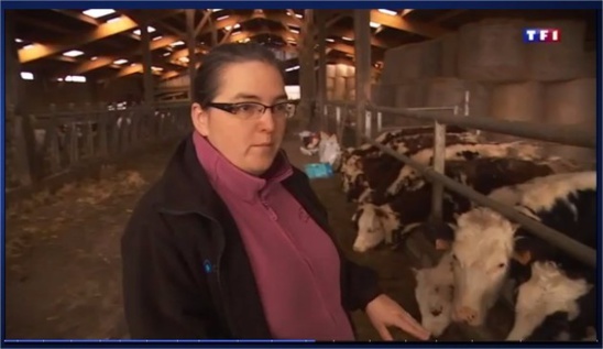 Depuis décembre 2014, le champ électromagnétique d'une antenne-relais perturbait une exploitation de vaches laitières de Normandie. (© Le Pays d'Auge) Depuis décembre 2014, le champ électromagnétique d'une antenne-relais perturbait une exploitation de vaches laitières de Normandie. (© Le Pays d'Auge)