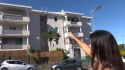 Explications dans ce reportage de Maud Steinbach. Explications dans ce reportage de Maud Steinbach.