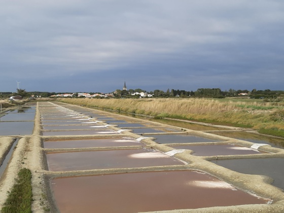 La mairie refusait l’implantation d’une antenne relais à proximité des marais (Journal des Sables)