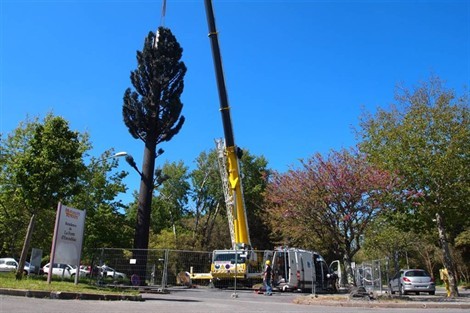 L’antenne-relais en forme d’arbre a été installée à l’aide d’une grue. Ouest France. L’antenne-relais en forme d’arbre a été installée à l’aide d’une grue. Ouest France.