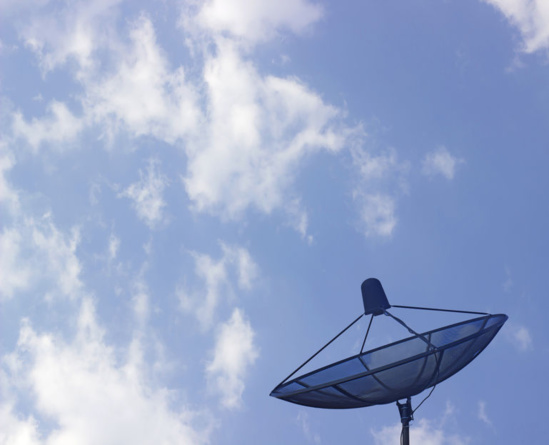 Pour Robin des Toits, les ondes hertziennes sont nocives. Photo DR/