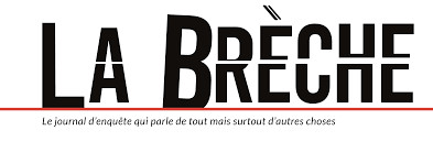 La Brèche, un journal enquête sur l'impact des ondes La Brèche, un journal enquête sur l'impact des ondes