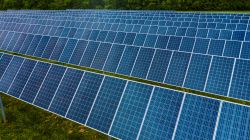 Photovoltaïque sur des terres naturelles, agricoles ou forestières : nous ne tomberons pas dans le panneau ! Photovoltaïque sur des terres naturelles, agricoles ou forestières : nous ne tomberons pas dans le panneau !
