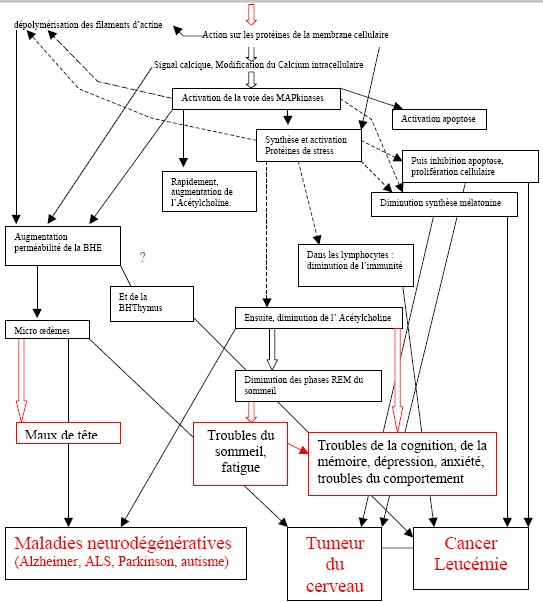 Résumé des mécanismes des champs électromagnétiques - CSIF CEM Résumé des mécanismes des champs électromagnétiques - CSIF CEM