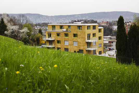 Le premier immeuble anti-allergène d’Europe a été achevé en décembre 2013, à Zürich. | AFP/MICHAEL BUHOLZER Le premier immeuble anti-allergène d’Europe a été achevé en décembre 2013, à Zürich. | AFP/MICHAEL BUHOLZER