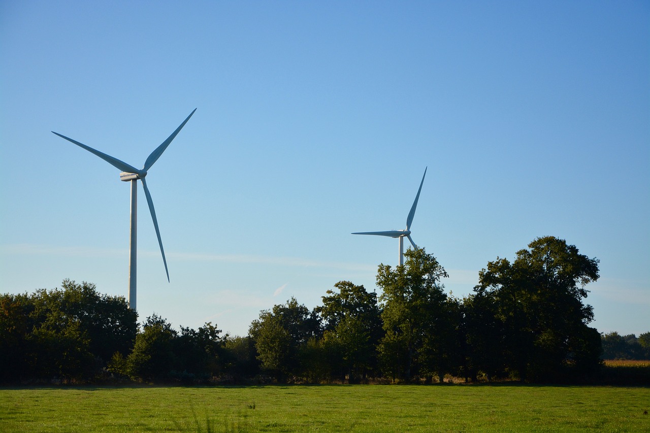 En Bretagne, les éoliennes responsables des maladies des vaches ?