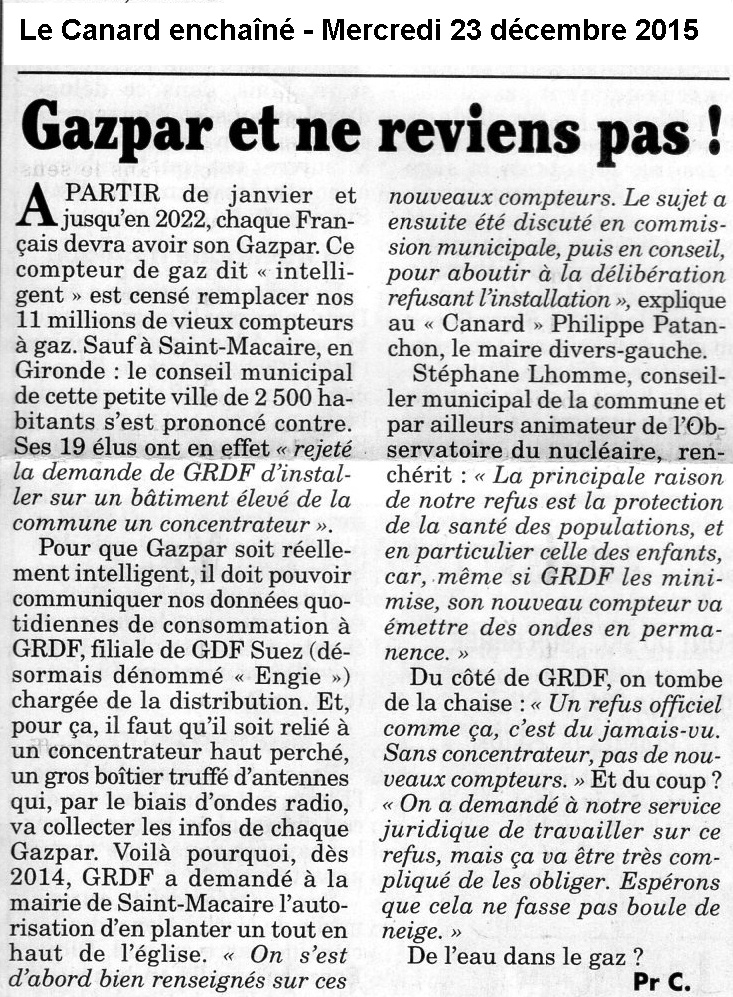 'Gazpar et ne reviens pas' - Le Canard Enchaîné - 23/12/2015