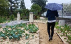 'Pollution: des ONG interpellent les candidats aux primaires' - L'Express - 20/09/2016 'Pollution: des ONG interpellent les candidats aux primaires' - L'Express - 20/09/2016