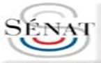LIGNES À HAUTE TENSION ET ÉLECTROHYPERSENSIBILITÉ (EHS) - rapport du sénateur Daniel Raoul - 27/05/2010