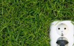 Billet: Les disjonctés - wort.lu/fr/luxembourg - 02/2019