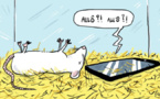 Avec la 5G, nous sommes tous des rats de laboratoire - reporterre.net - 22/02/2019