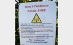 La Roche-sur-Foron : mobilisation citoyenne contre l’antenne du Léman Express - ledauphine.com - 26/02/2019