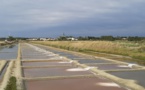 L’Île-d’Olonne : Orange ne pourra pas implanter son antenne-relais dans le « corridor écologique » - actu.fr - 04/10/2019