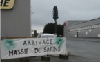 Colleville-Montgomery. Un arbre factice pour une vraie antenne relais - ouest-france.fr - 17/12/2019