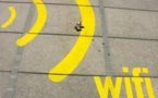 Wifi, EMFs : Electrosensitivity (ES, EHS) physiologically explained at last - 15/03/2012