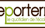 5G - Plaintes contre les enchères - 29/09/2020 5G - Plaintes contre les enchères - 29/09/2020