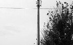 A Ruitz (Pas de Calais), les mêmes causes produiraient-elles les mêmes effets qu'à Saint-Cyr-l'Ecole ? - Revue de Presse
