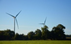 En Bretagne, les éoliennes responsables des maladies des vaches ?