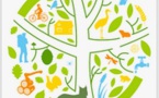 LE POIDS DES ONDES, L’HYPERSENSIBILITÉ AUX ONDES ÉLECTROMAGNÉTIQUES. LE POIDS DES ONDES, L’HYPERSENSIBILITÉ AUX ONDES ÉLECTROMAGNÉTIQUES.