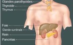 Le Syndrome des Micro-ondes : dossier scientifique